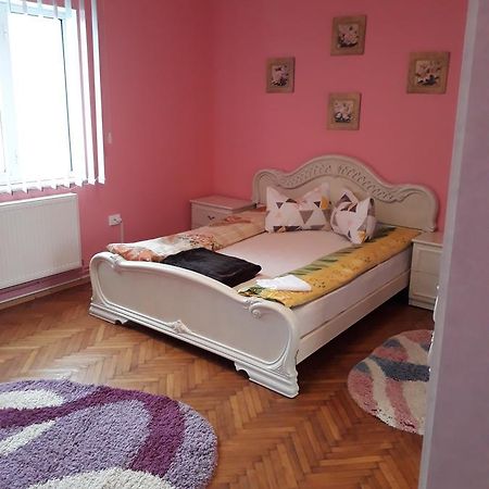 Călimăneşti Casa Ade 아파트 외부 사진