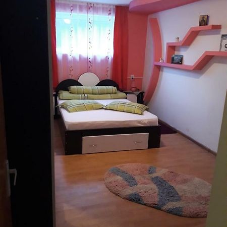 Călimăneşti Casa Ade 아파트 외부 사진