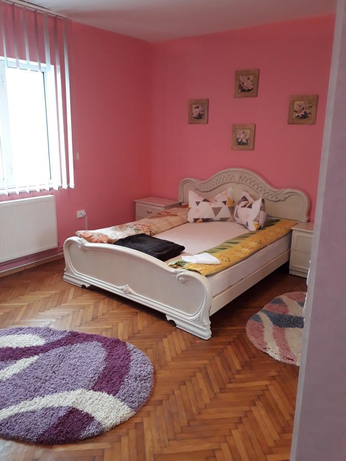 Călimăneşti Casa Ade 아파트 외부 사진