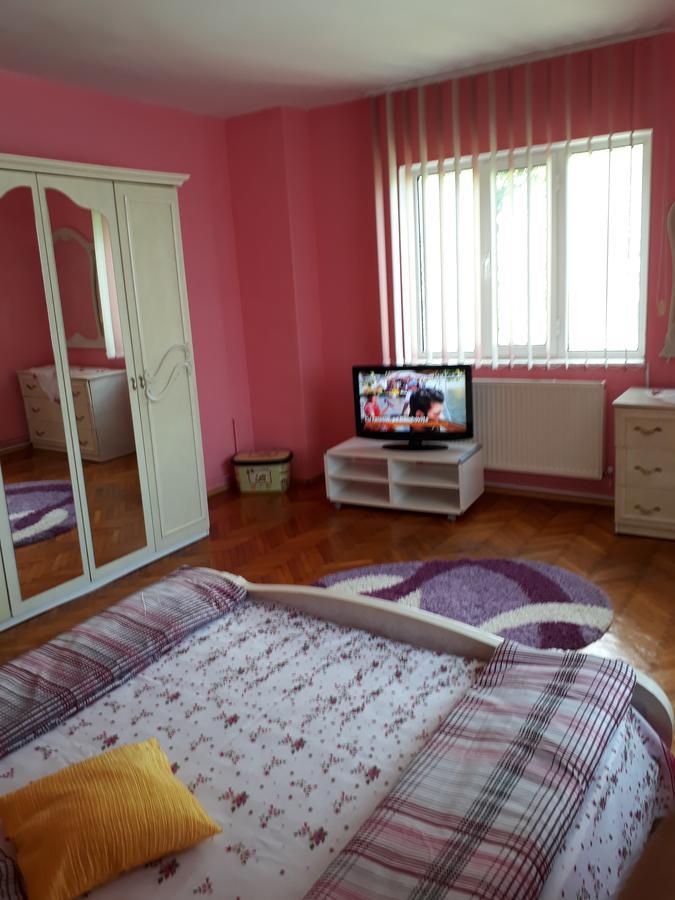 Călimăneşti Casa Ade 아파트 외부 사진