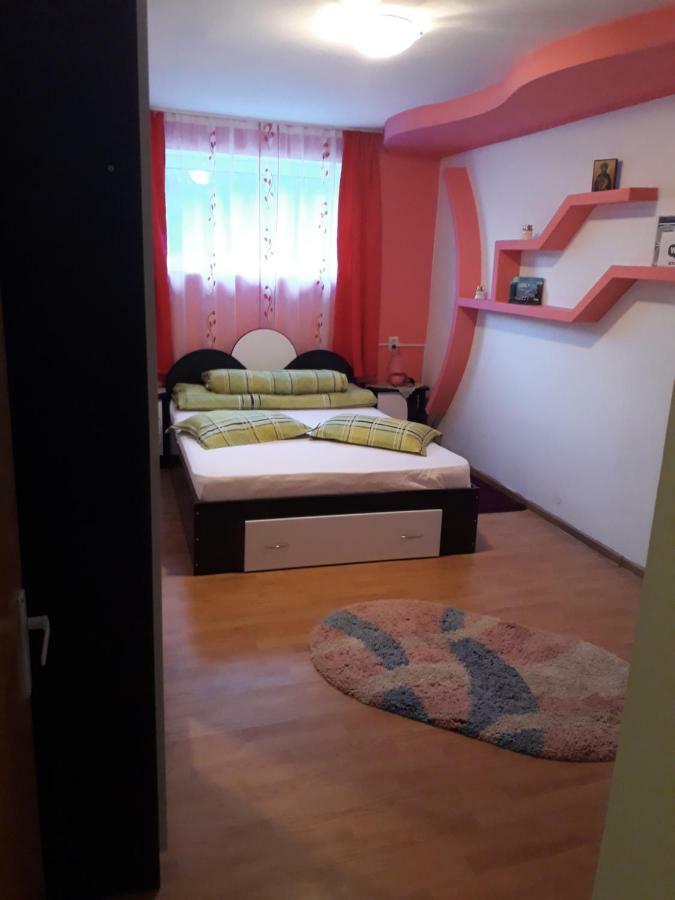 Călimăneşti Casa Ade 아파트 외부 사진