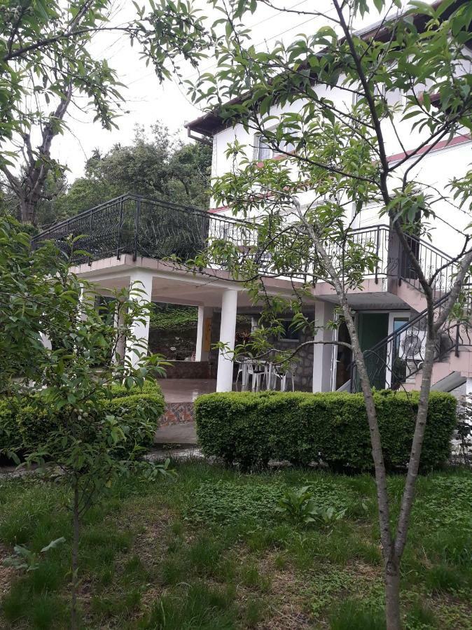 Călimăneşti Casa Ade 아파트 외부 사진