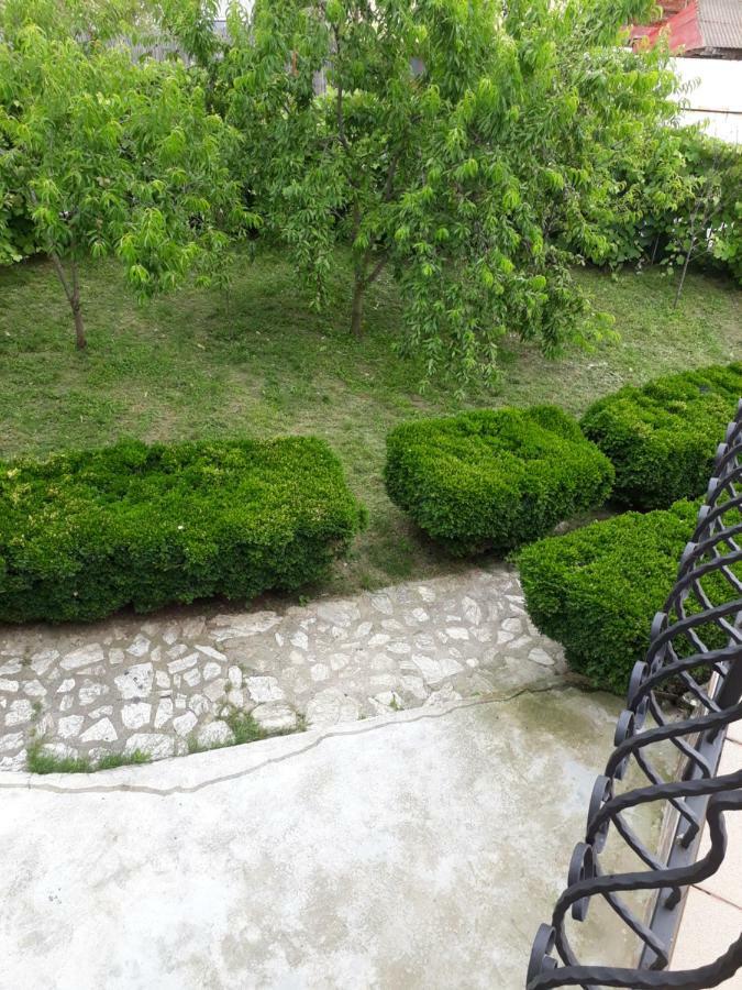 Călimăneşti Casa Ade 아파트 외부 사진