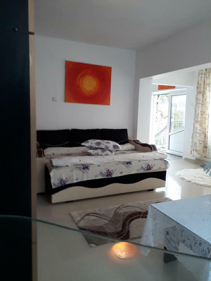 Călimăneşti Casa Ade 아파트 외부 사진