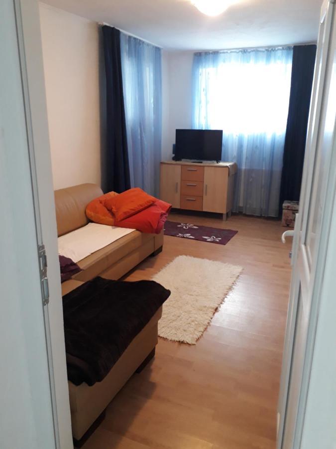 Călimăneşti Casa Ade 아파트 외부 사진